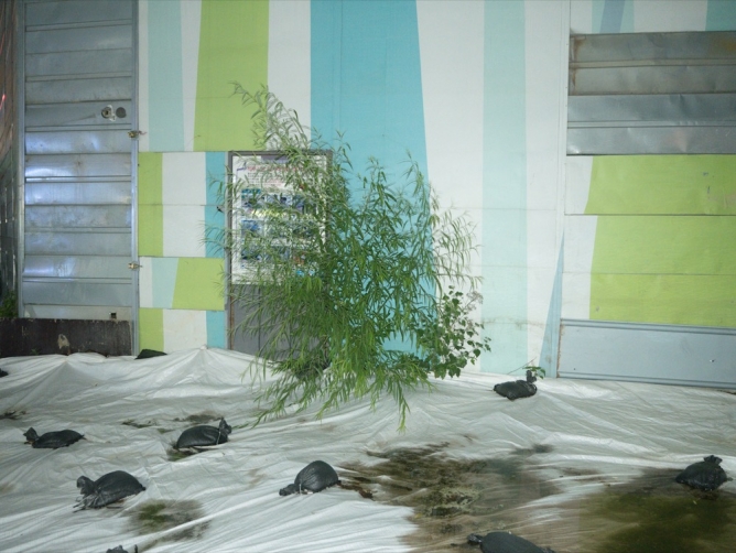 http://www.ischoi.com/files/gimgs/th-8_Fake Landscape_20_1200 .jpg