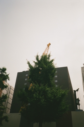 http://www.ischoi.com/files/gimgs/th-8_Fake Landscape_13_1000.jpg