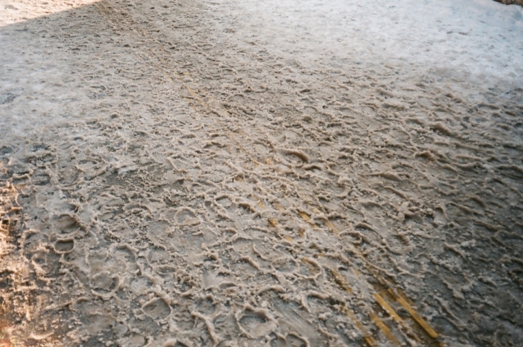 http://www.ischoi.com/files/gimgs/th-8_Fake Landscape_6_1200 .jpg