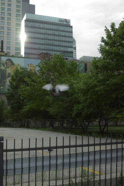 http://www.ischoi.com/files/gimgs/th-38_DP2M0829_1200.jpg