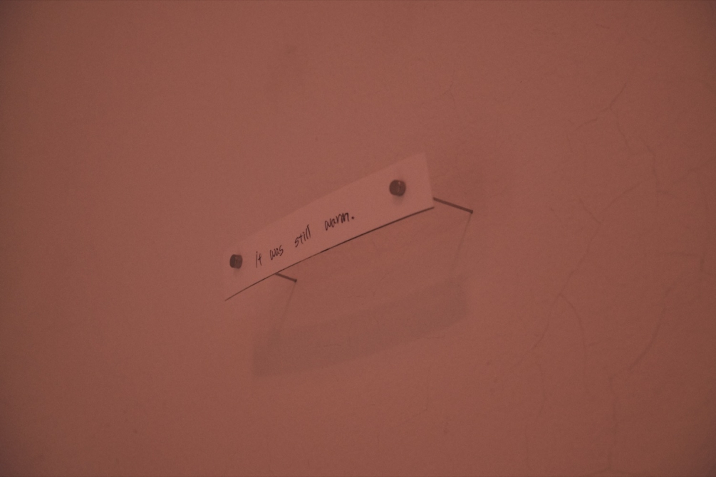 http://www.ischoi.com/files/gimgs/th-47_DSCF0514___1500.jpg