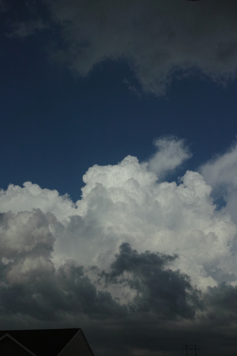 http://www.ischoi.com/files/gimgs/th-40_DP2M0996_1200.jpg