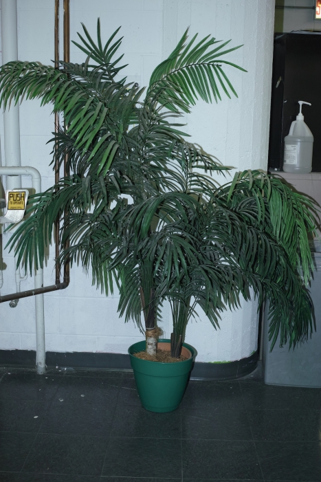 http://www.ischoi.com/files/gimgs/th-35_DP2M4324_1500.jpg