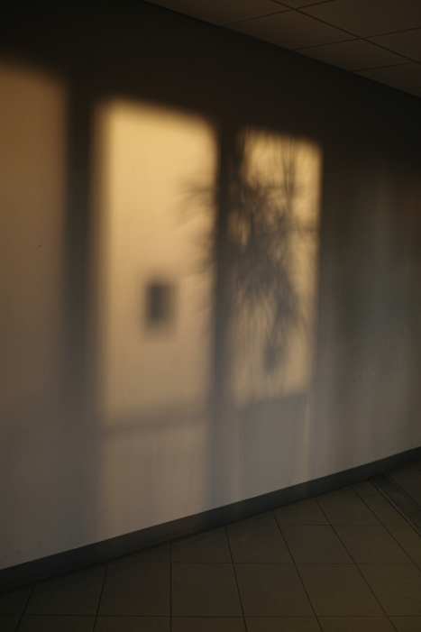 http://www.ischoi.com/files/gimgs/th-35_DP2M3665_1500.jpg