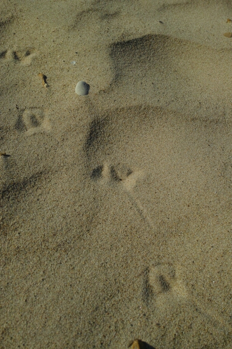http://www.ischoi.com/files/gimgs/th-35_DP2M0639_1200.jpg