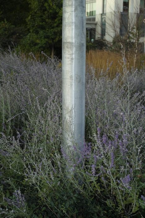 http://www.ischoi.com/files/gimgs/th-35_DP2M1541_1200_v2.jpg