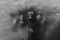 http://www.ischoi.com/files/dimgs/thumb_0x200_2_55_536.jpg