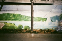 http://www.ischoi.com/files/gimgs/th-14_000379100017.jpg