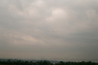 http://www.ischoi.com/files/gimgs/th-14_20121203-000915230005.jpg