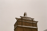 http://www.ischoi.com/files/gimgs/th-14_20121217-000922790034.jpg