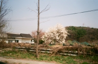 http://www.ischoi.com/files/gimgs/th-14_20150506-000409850016.jpg