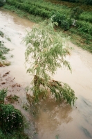 http://www.ischoi.com/files/gimgs/th-14_normalkorea_02-1000.jpg