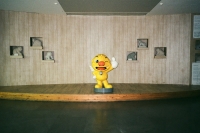 http://www.ischoi.com/files/gimgs/th-14_normalkorea_08.jpg
