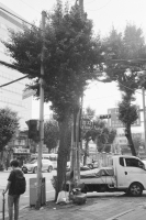 http://www.ischoi.com/files/gimgs/th-27_SKorea2021_-1.jpg