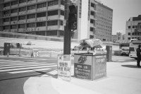 http://www.ischoi.com/files/gimgs/th-27_SKorea2021_-18.jpg