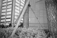 http://www.ischoi.com/files/gimgs/th-27_SKorea2021_-20.jpg