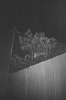 http://www.ischoi.com/files/gimgs/th-27_SKorea2021_-6.jpg