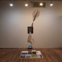 http://www.ischoi.com/files/gimgs/th-41_DSCF5987_1200.jpg