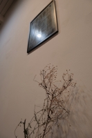 http://www.ischoi.com/files/gimgs/th-41_DSCF6017_1200.jpg