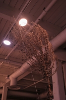 http://www.ischoi.com/files/gimgs/th-41_DSCF6021_1200.jpg