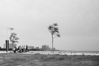 http://www.ischoi.com/files/gimgs/th-55_P1130949_web.jpg