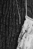 http://www.ischoi.com/files/gimgs/th-55_TreeStudy_26.jpg